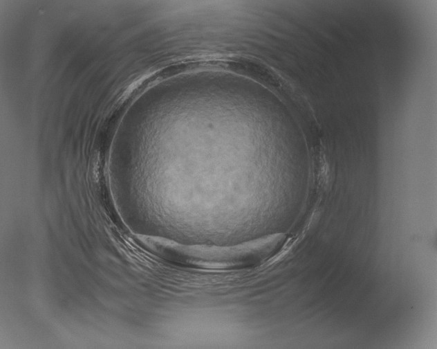 X0000077361161200610201315