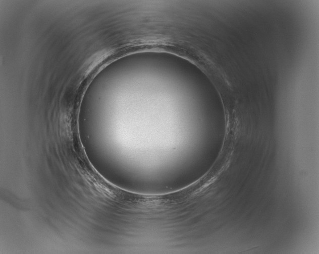 X0000077361162200610201315