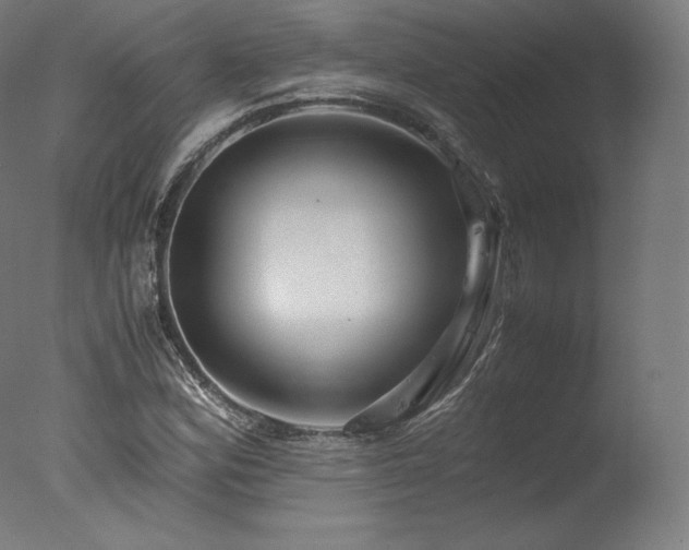 X0000077361164200610201315