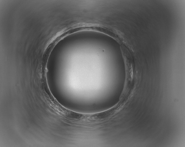 X0000077361165200610201315