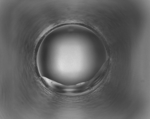 X0000077361173200610201315