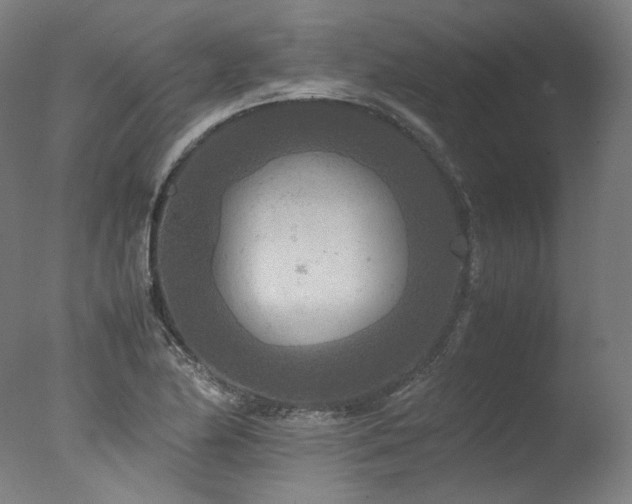 X0000077361174200610201315