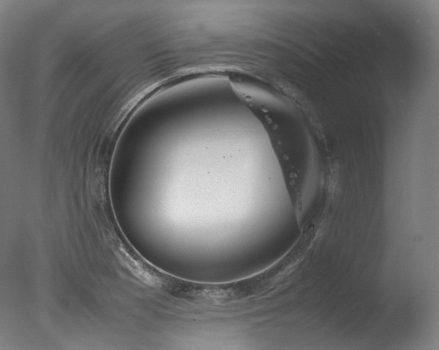 X0000077361177200610201315
