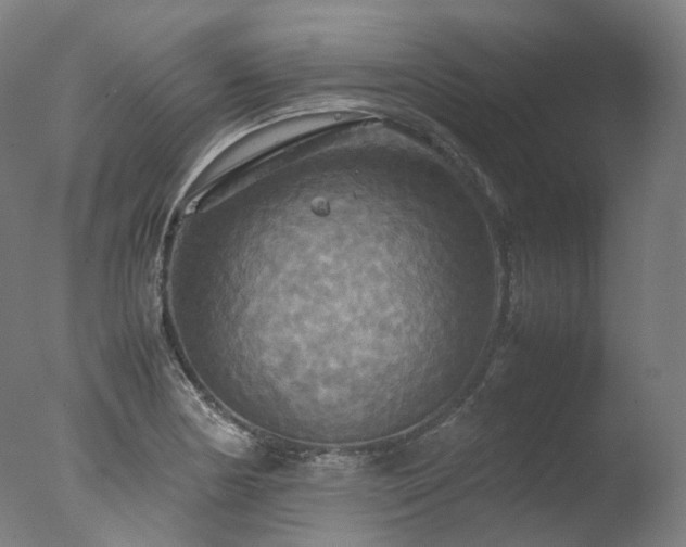 X0000077361178200610201315