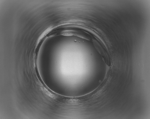 X0000077361180200610201314