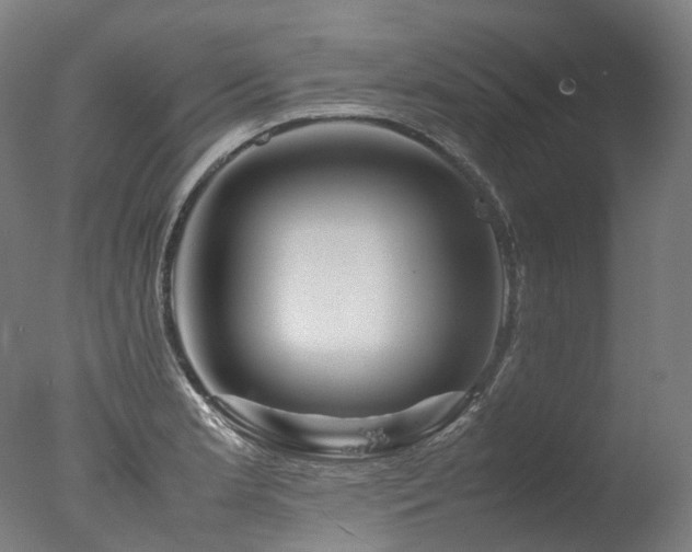 X0000077361181200610201314