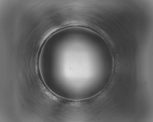 X0000077361182200610201314