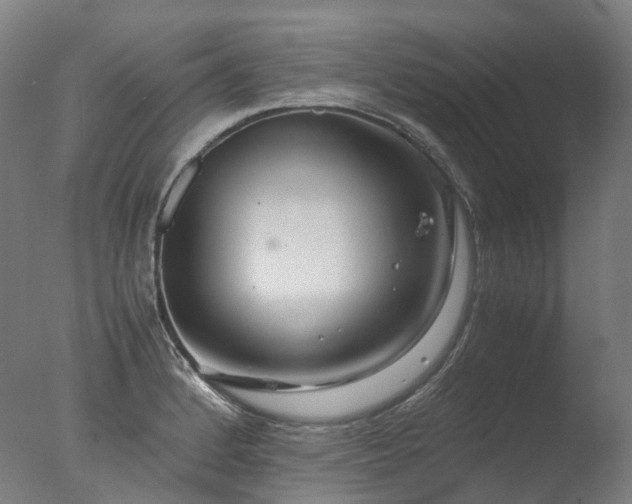 X0000077361184200610201314
