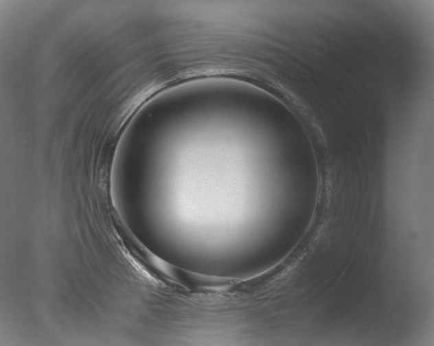 X0000077361185200610201314