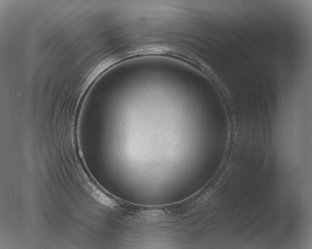 X0000077361186200610201314