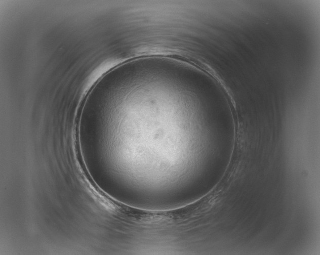 X0000077361187200610201314