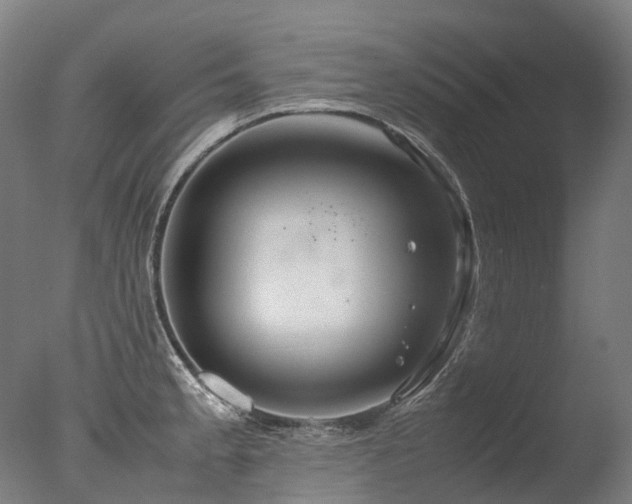 X0000077361189200610201314