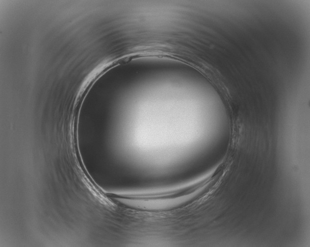 X0000077361196200610201314