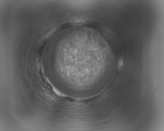 X0000077361204200610201313