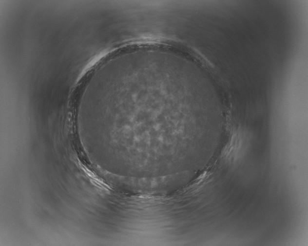 X0000077361208200610201313