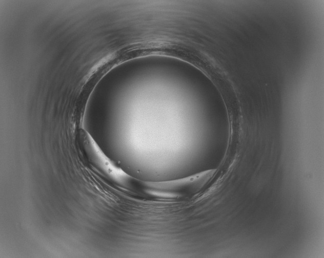 X0000077361210200610201313