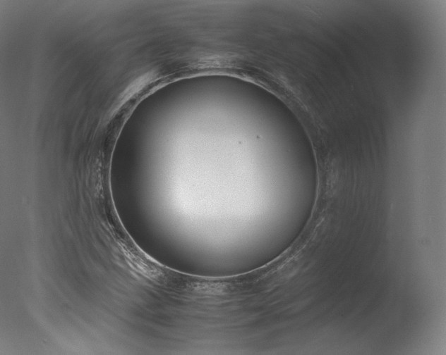 X0000077361211200610201313