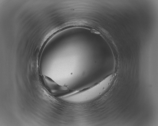 X0000077361226200610201314