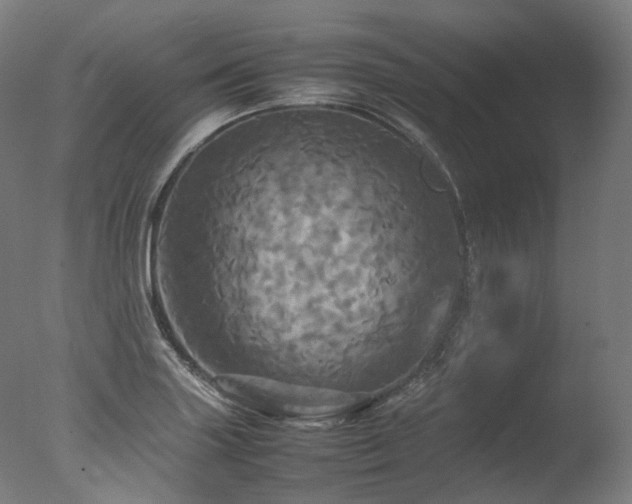 X0000077361227200610201314