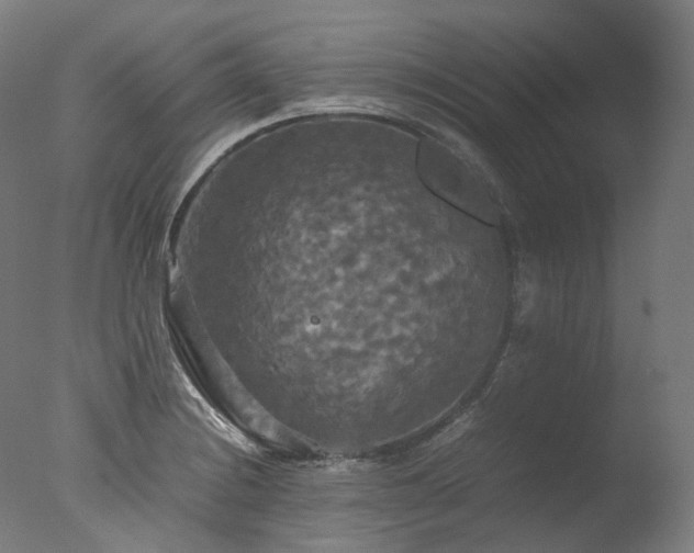 X0000077361228200610201314