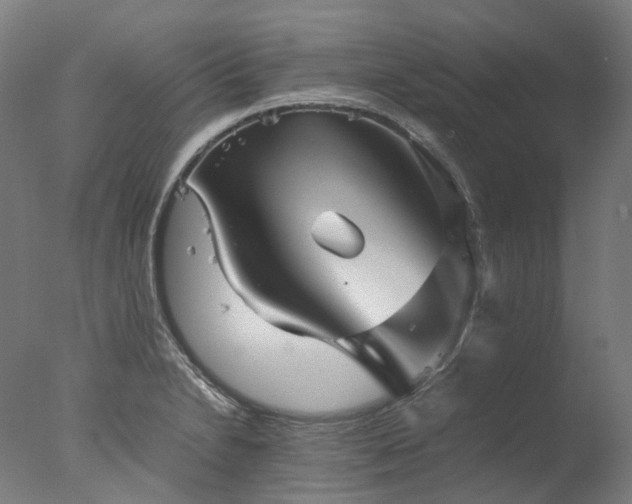 X0000077361230200610201314