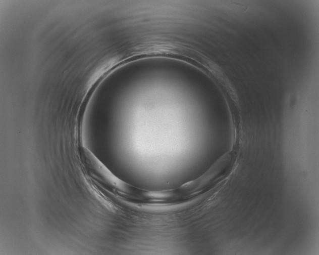 X0000077361234200610201314