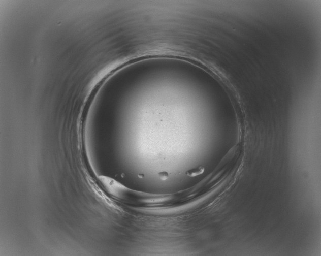 X0000077361238200610201314