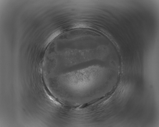 X0000077361241200610201314