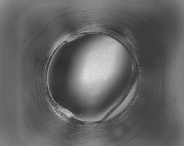 X0000077361242200610201314