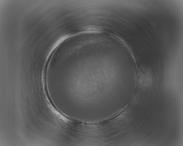 X0000077361243200610201314