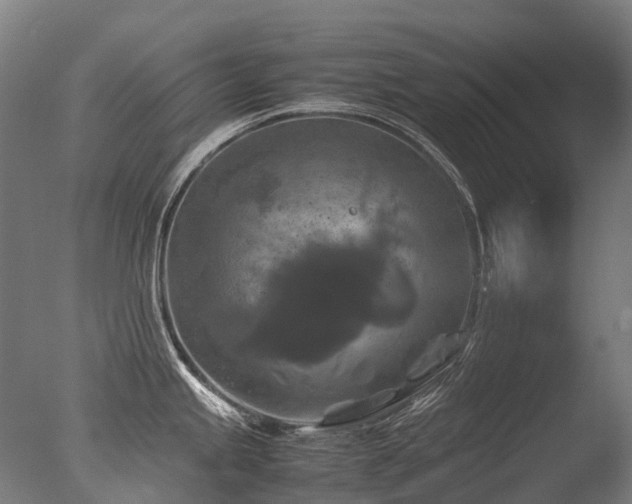 X0000077361245200610201314