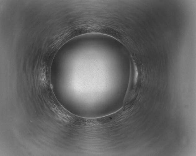 X0000077361250200610201313