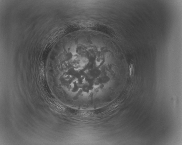 X0000077361251200610201313