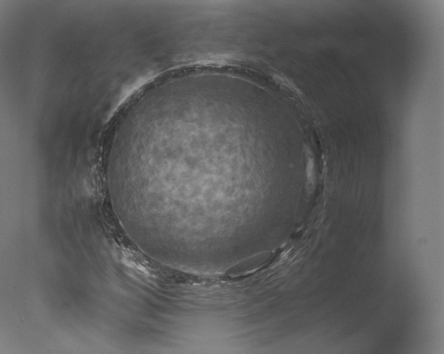 X0000077361256200610201313