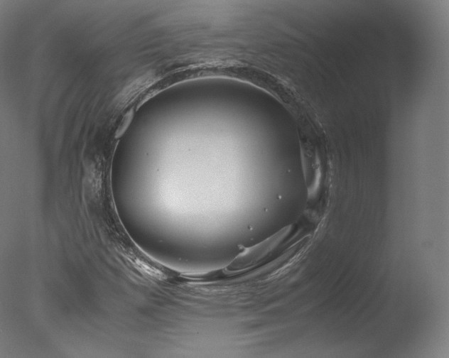 X0000077361257200610201313
