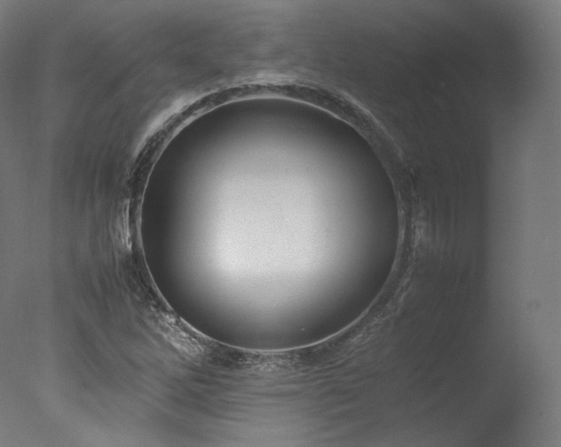 X0000077361262200610201313