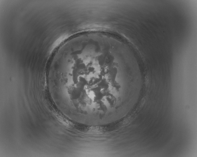 X0000077361267200610201313