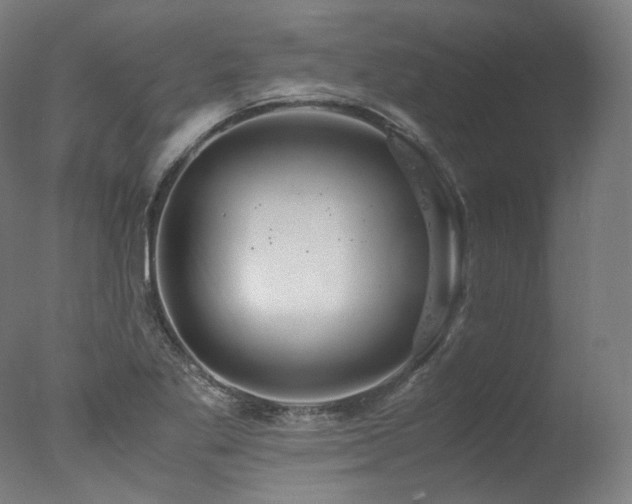 X0000077361269200610201313