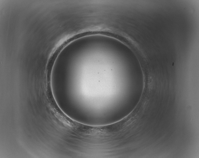 X0000077361270200610201313