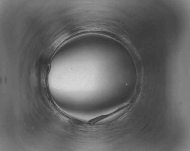 X0000077361273200610201313