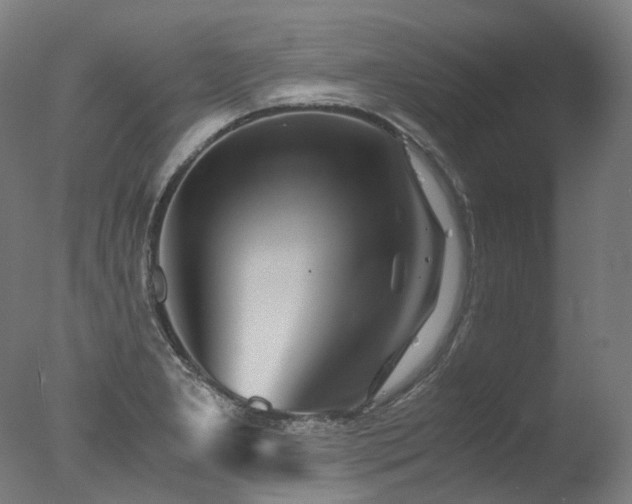 X0000077361277200610201313
