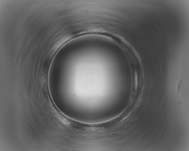 X0000077361281200610201313