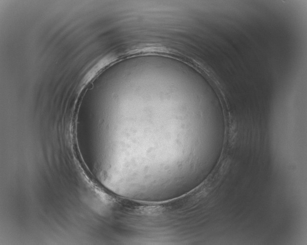 X0000077361282200610201313