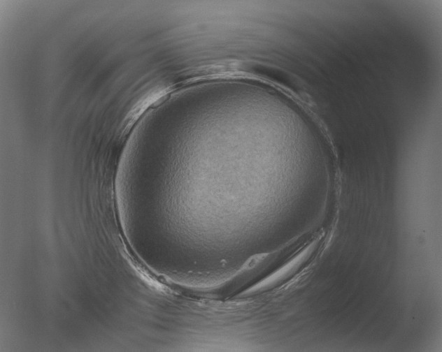 X0000077361289200610201313