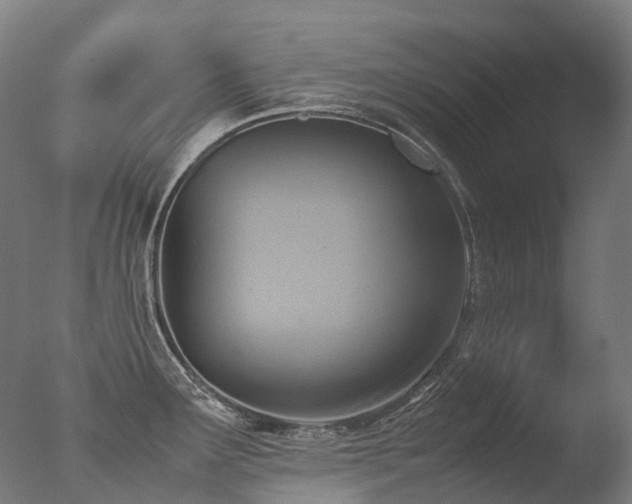 X0000077361291200610201313