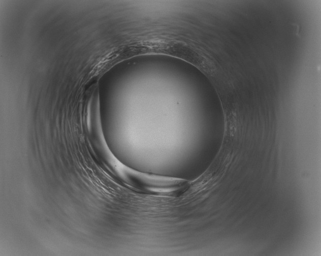 X0000077361298200610201312