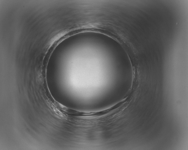 X0000077361308200610201312