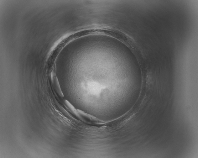 X0000077361310200610201312