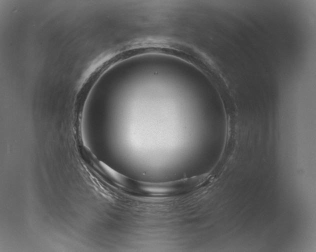 X0000077361312200610201312