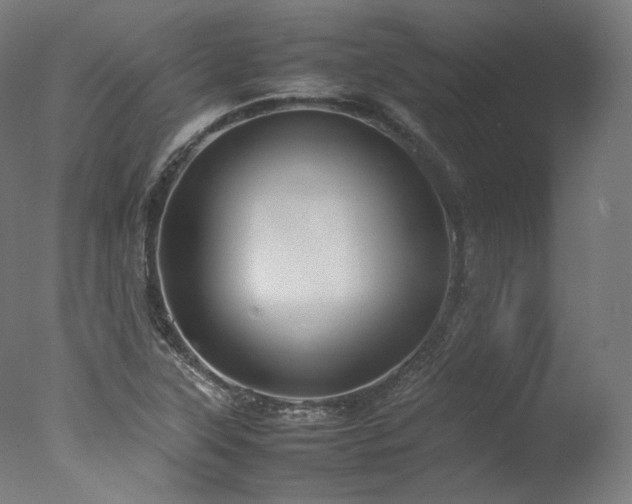 X0000077361315200610201312